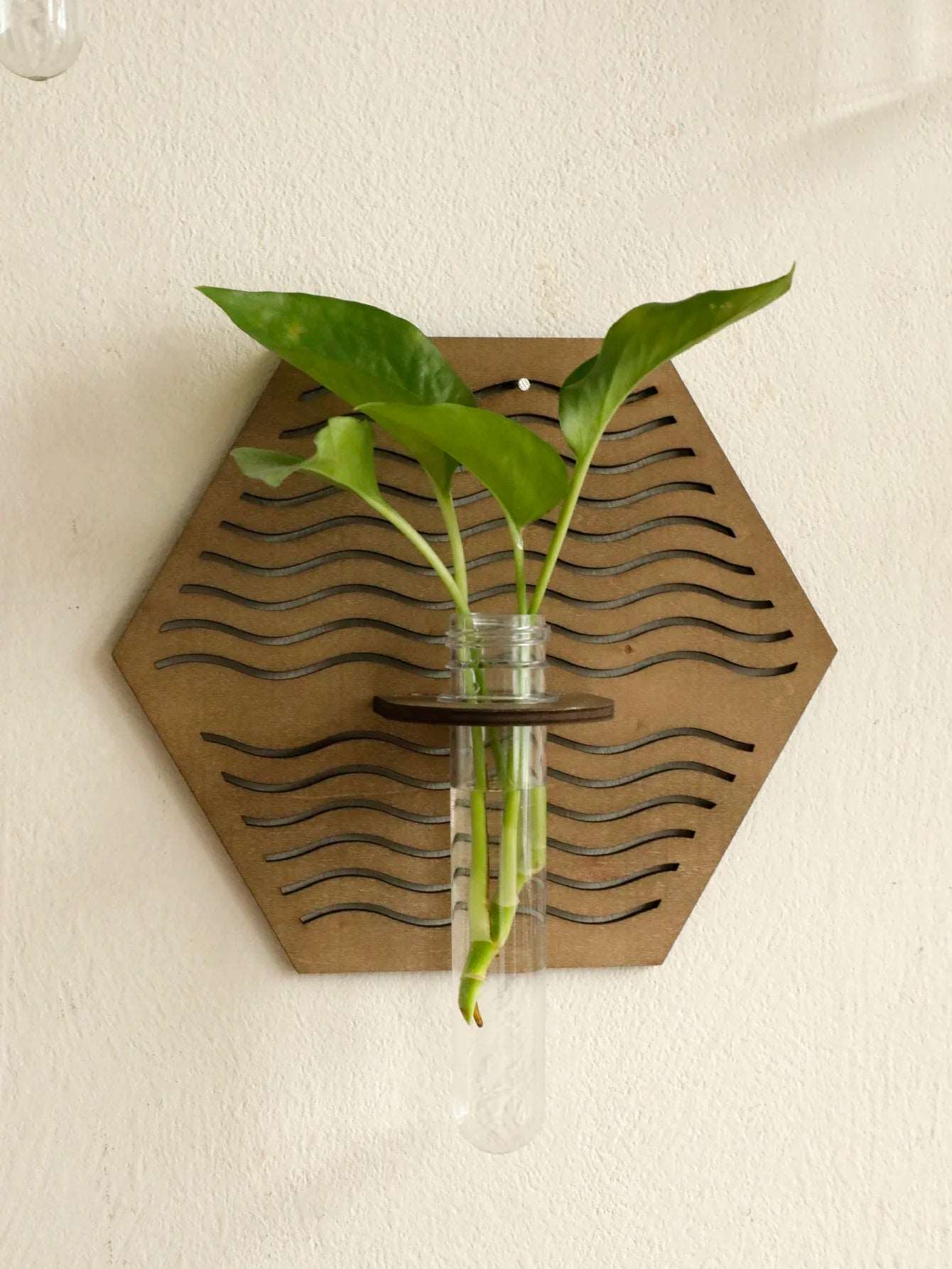 Wood Wall Vase for Green Plant Wall Mount Flower Vase Tube Boho Home Decoration Pastoral Style Plant Holder Living Room Ornament - NestFlora